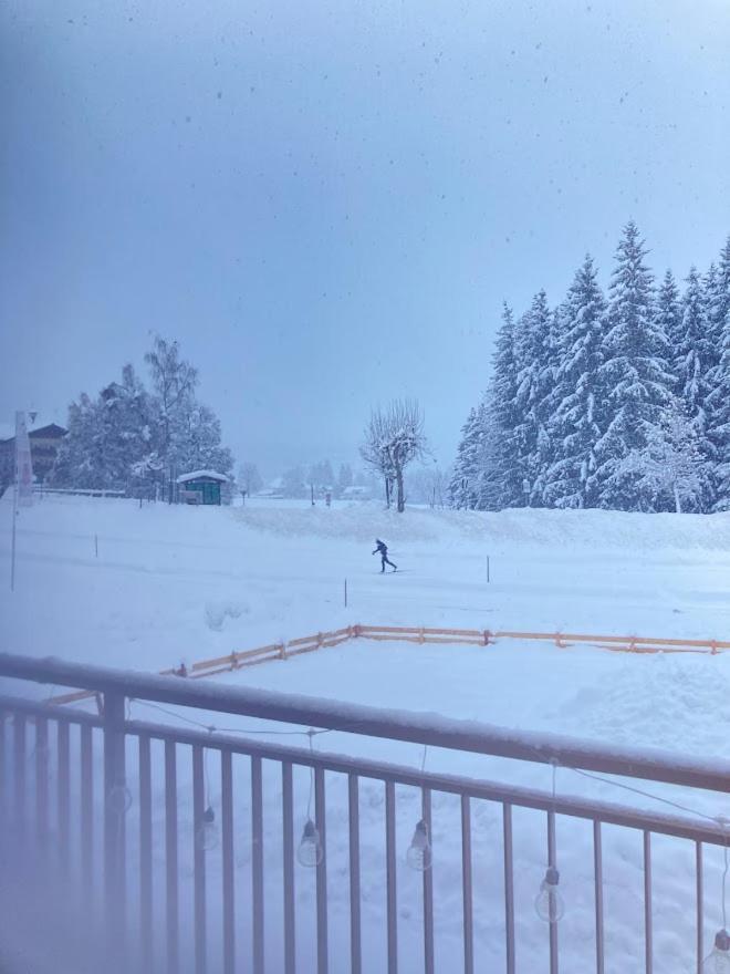 Jara Apartment- Ramsau Am Dachstein Buitenkant foto